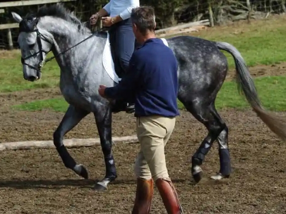 Istruttore di equitazione condannato per molestie su ragazza di 13 anni: 15.000 euro di risarcimento e sospensione di quasi tre anni