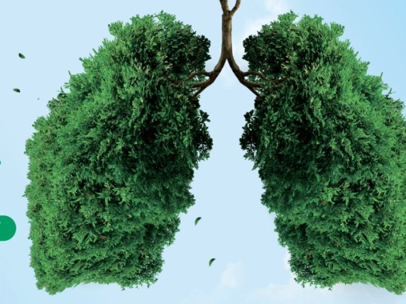 Legambiente avvia 120 iniziative di piantumazione per aumentare la copertura verde in Italia e contrastare la deforestazione globale