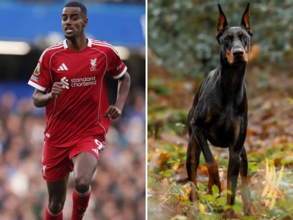 Isak Højer, minacciato di morte, acquista un Doberman addestrato per 34.000 euro