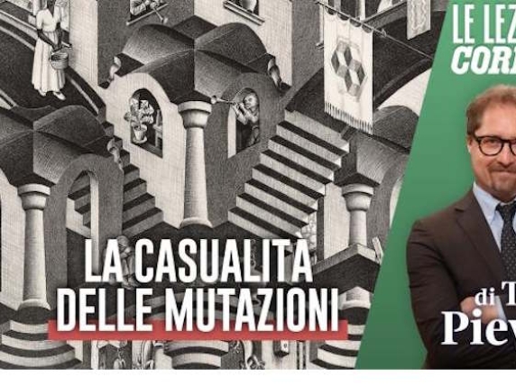 Frances Arnold e la creazione di una biblioteca di proteine: una nuova frontiera della biologia