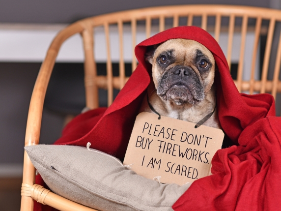 Europe, Australia impose fireworks limits