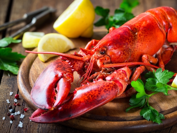 Regno Unito intende vietare la bollitura di crostacei vivi