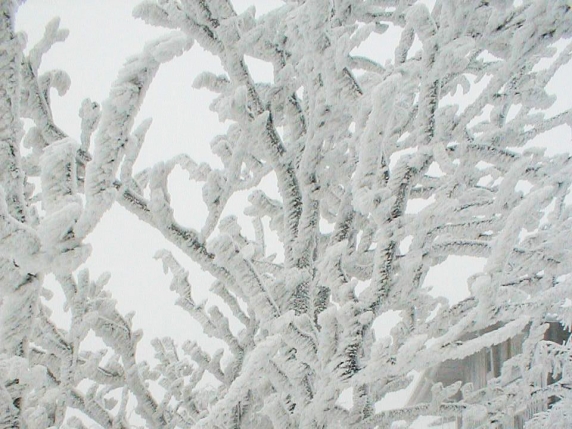 Torino registra freddo record: galaverna, calà e calabrosa tornano in uso