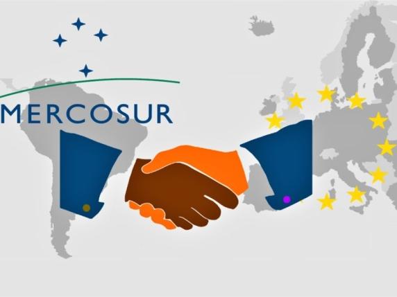 Accordo Ue-Mercosur, il Parlamento europeo blocca il sì al trattato: ora tocca alla Corte Ue | Cosa prevede Accordo Ue-Mercosur, il Parlamento europeo blocca il sì al trattato: ora tocca alla Corte Ue | Cosa prevede