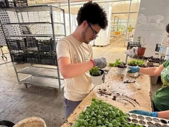 Luca@work, quel  basilico coltivato in terrazzacome ponte per l’autonomia