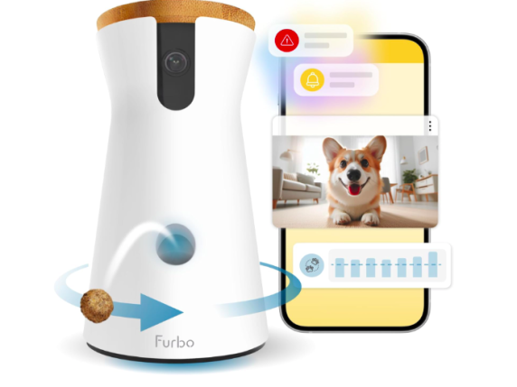 Guida pratica alla scelta della telecamera di sorveglianza per animali domestici