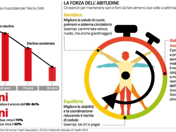 La longevità, questione di muscoli: «Chi ha più massa ha una mente più giovane. Attenti a grasso viscerale e metabolismo basale»