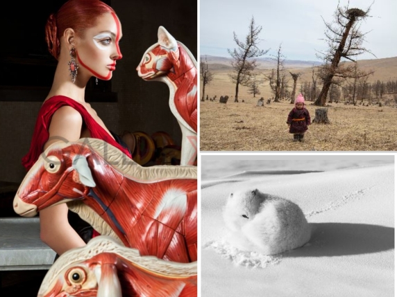 Quando la fotografia diventa strumento di denuncia e impegno sociale: gli italiani al Festival «Xposure»