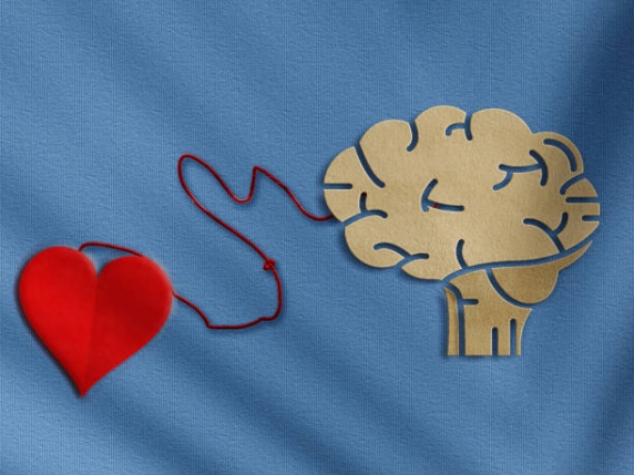 Ecco come il cuore «inganna» il cervello e il sistema immunitario dopo un infarto