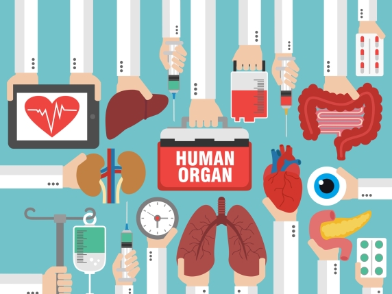 La rete, équipe e trasporti: come funziona il sistema dei trapianti in Italia?