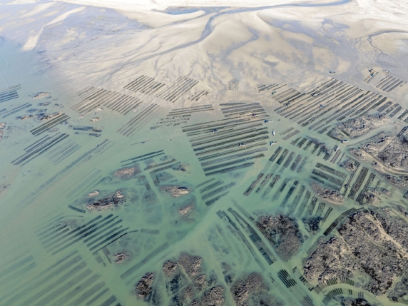 Sony World Photography Awards 2026: ecco le foto dei finalisti per il concorso «Professional»