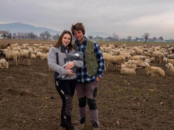 Il cambio vita di Nicole e Luca: «Abbiamo lasciato il bar e comprato 500  pecore. La nostra vita nella transumanza» | Corriere.it
