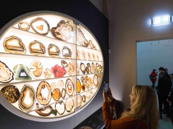 Le Cere Anatomiche della Specola di〜 CERE ANATOMICHE - Fondazione Prada