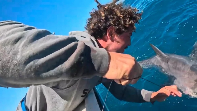 35 minuti faccia a faccia con un grande squalo bianco: la battaglia al largo dell’Australia