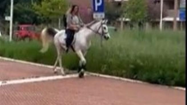 Tabita Gurioli al lavoro a cavallo per protesta