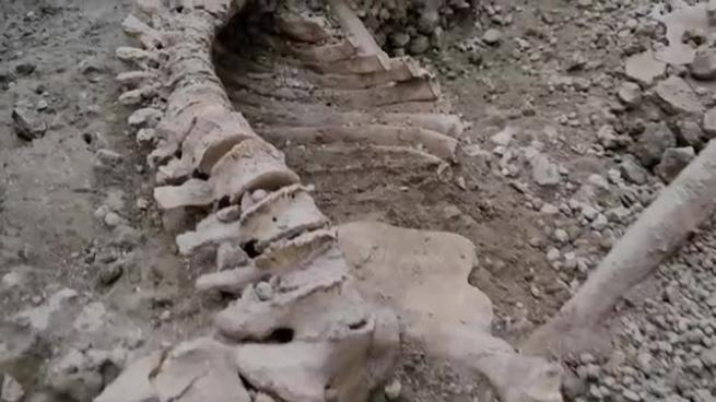 A Pompei emergono gli scheletri di due nuove vittime