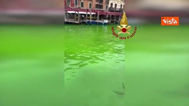 Chiazza verde nel Canal Grande a Venezia. Ecco le immagini