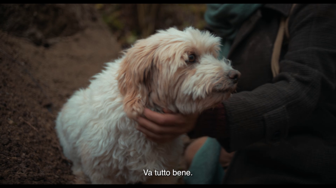 Birba, il cane da tartufo che in Trifole recita se stesso