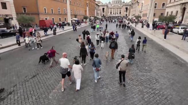 Il Cammino di Angelo Vaira approda a San Pietro: «Noi, gli animali e la natura siamo parte dello stesso creato, la Chiesa lo riconosca»