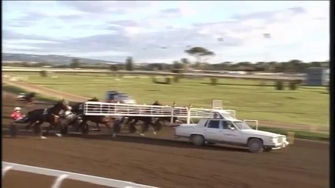 Roma: First of Mind si aggiudica il 97° Derby del Trotto all'ippodromo di Capannelle