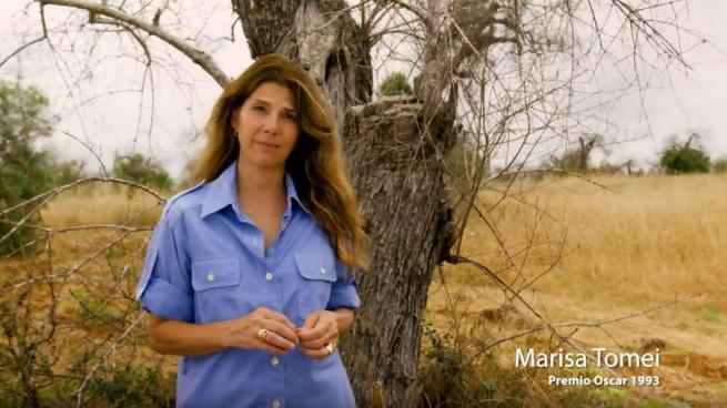 L’attrice Premio Oscar Marisa Tomei in Puglia contro la xylella: il video per Fondazione Sylva