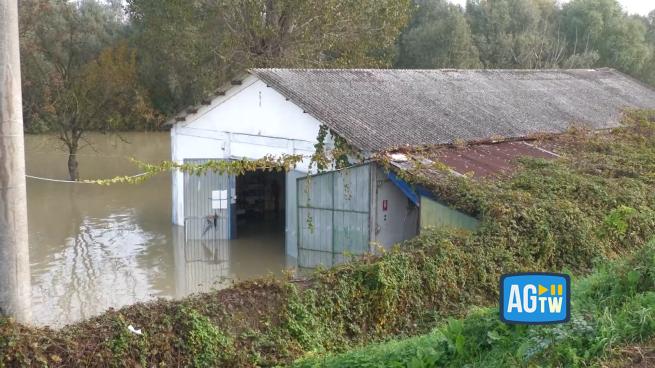 Maltempo Emilia-Romagna, il circolo canottieri di Ferrara è già allagato. I cittadini di Pontelagoscuro: «Abbiamo paura. Il Po è a sei metri da noi»