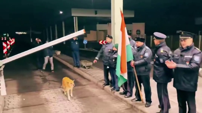 La Romania entra nell'area Schengen e il primo ad attraversare il confine è un cane randagio: il video