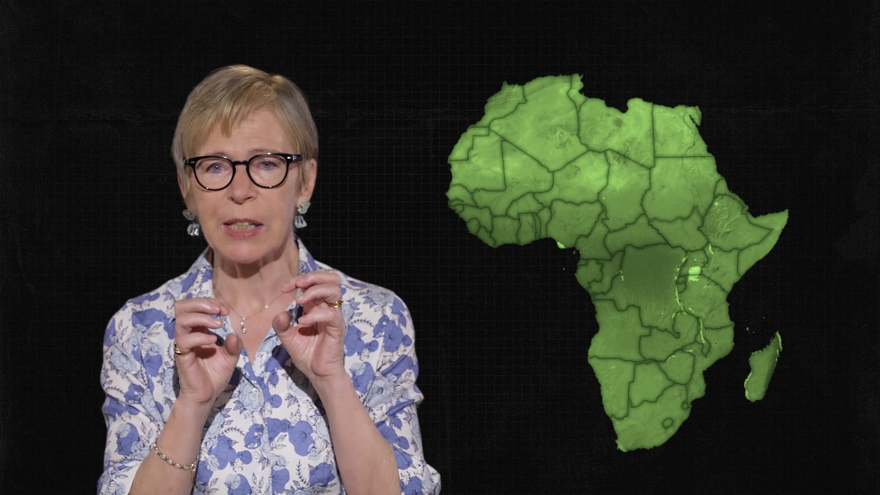 Perché l'Africa è così povera nonostante oro e diamanti