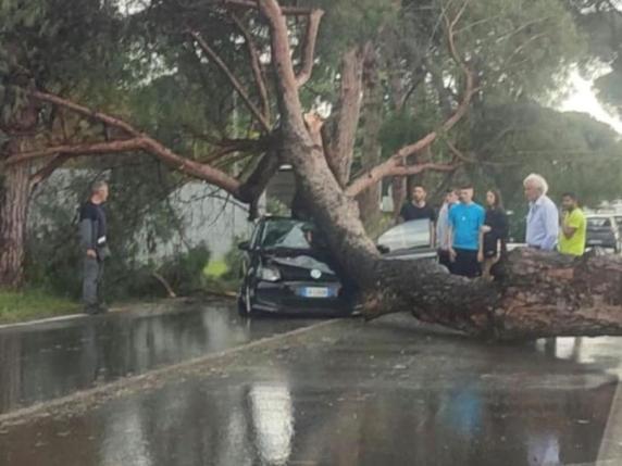 Roma, grosso albero cade sulla carreggiata in via Nomentana. Travolta un'auto di passaggio: ferita la donna al volante