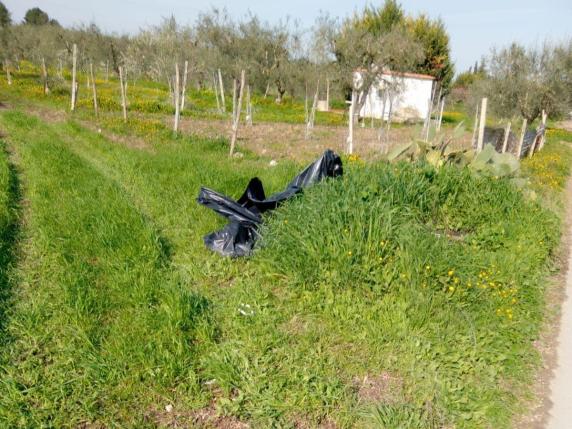 Borraccia Per Cani Con Pala E Sacchetti - Porta Acqua E Scoop Per Bisogni - Foto 3