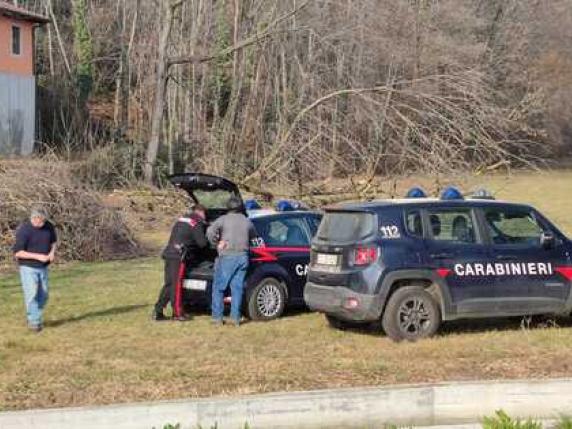 Valperga, 80enne Muore Travolto Dalla Pianta Che Stava Tagliando ...