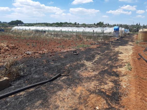 Ruffano, Agricoltore Disperato Dopo Un Incendio: «Ha Perso Tutto ...