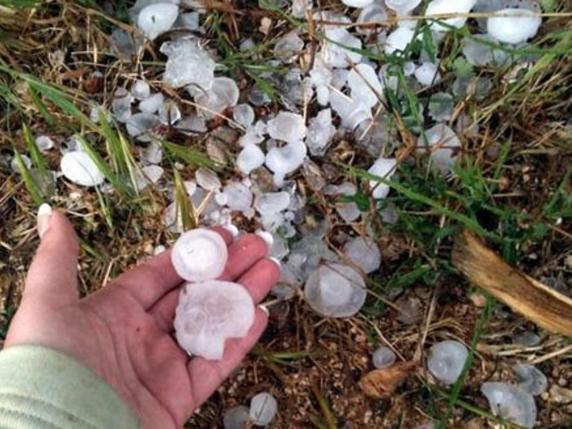 Violenta Grandinata Su Barichicchi Grandi Come Noci Sulle Auto ...