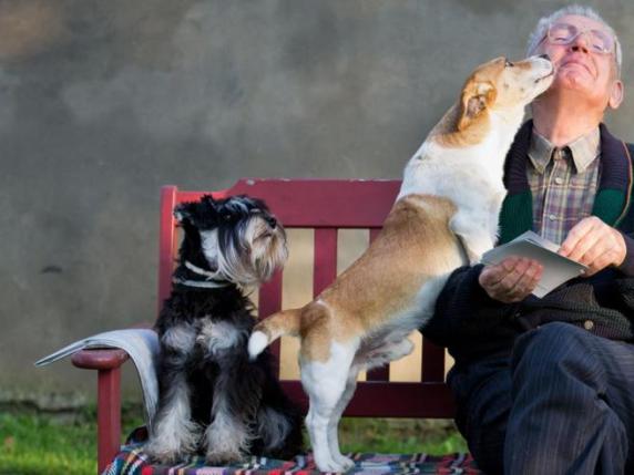 Parma, così i cani possono fiutare in anticipo il Parkinson