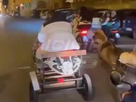 Palermo, corsa clandestina di pony in mezzo al traffico: poi lo schianto contro un'auto