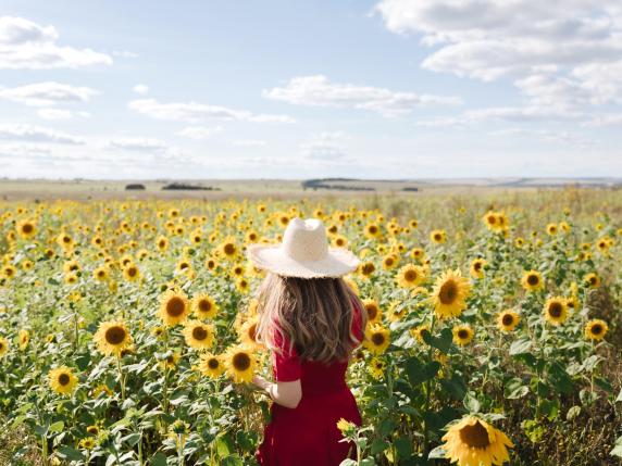 Beautiful young woman in red dress and a straw hat is standing against a yellow field of sunflowers. Summer time, cottagecore concept. Back view.
