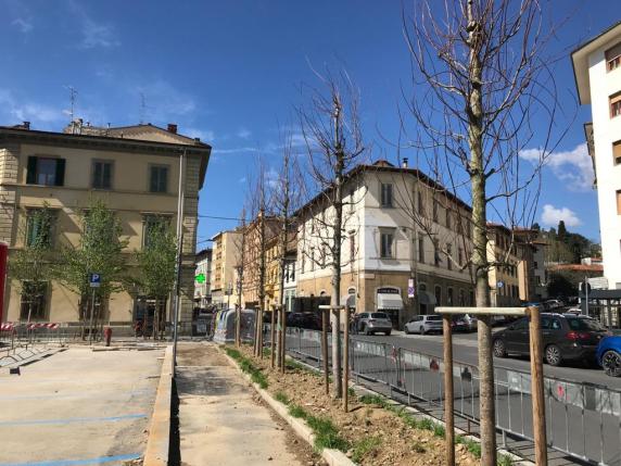 Alberi più alti e con l’impianto di irrigazione: Palazzo Vecchio prova il cambio di marcia