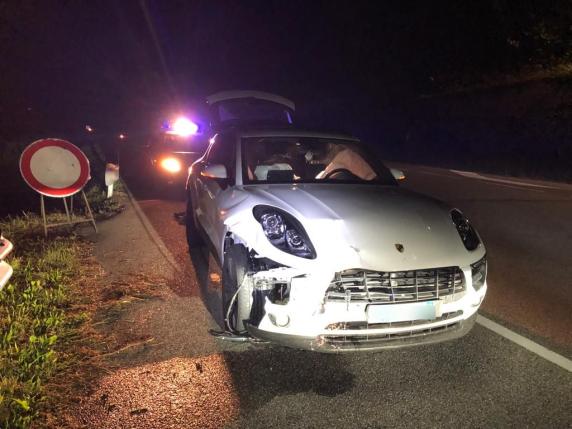 Belluno, incidente tra cervo e Porsche: la Regione condannata a risarcire il guidatore per 40mila euro
