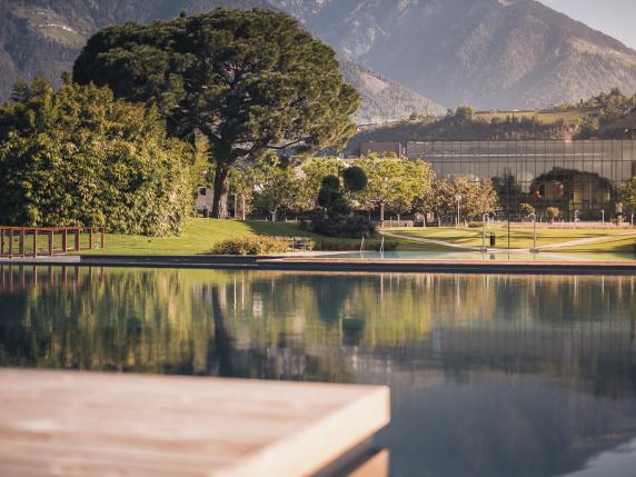 Alle Terme Merano apre la piscina naturale: piante e alghe purificano l'acqua