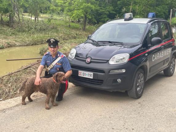 Poggibonsi, uomo travolto dalla piena insieme al suo cane: salvati da un carabiniere