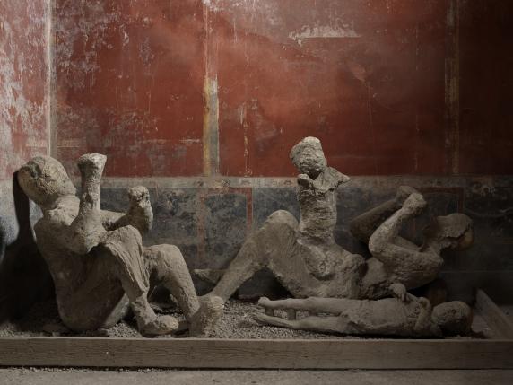 Il Dna antico svela la «dinasty» di Pompei e riscrive la storia dei suoi abitanti