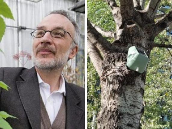 Stefano Mancuso: «Piantiamo alberi nelle nostre città per combattere la crisi climatica»