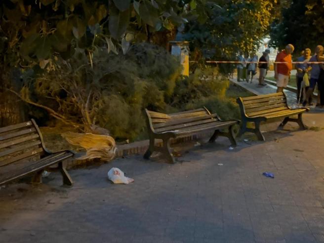 Manfredonia, cede il ramo di un albero durante la festa patronale: feriti  due anziani | Corriere.it