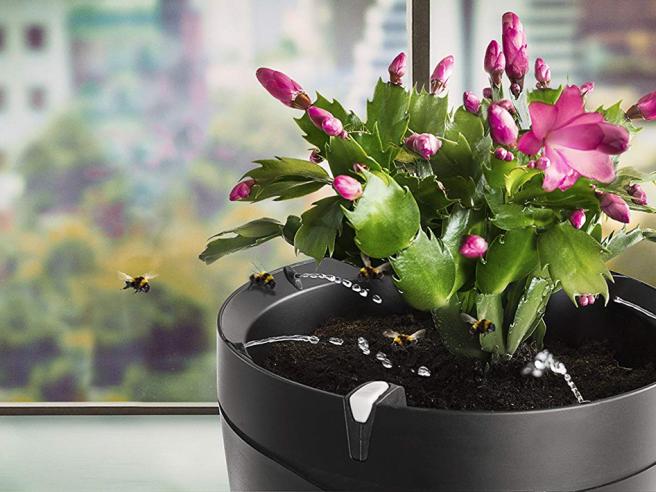 Smart Garden, i vasi che innaffiano automaticamente le piante