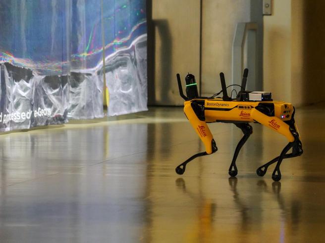 Genova: Cane Robot con intelligenza artificiale cercherà persone disperse,  tutti i dettagli nel VIDEO