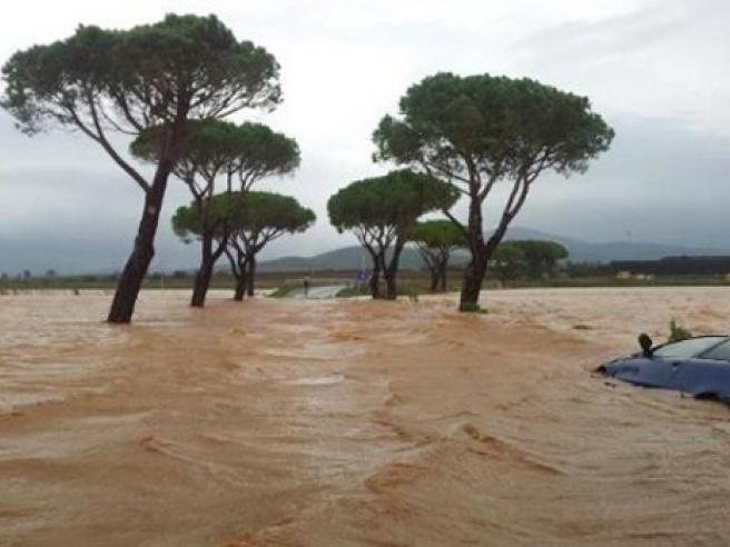 Nelle mani degli alunni di Albinea e Borzano le prime borracce in alluminio  regalate dal Comune – Comune di Albinea