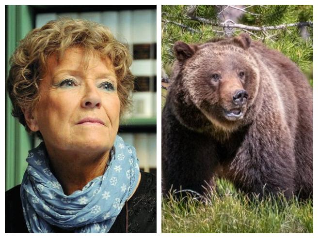 Dacia Maraini: «Siamo arroganti con gli orsi, colpa nostra se sono  nevrotici»