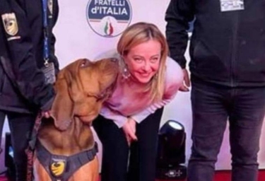 Cane Bruno ucciso, Meloni: «Atto vile e codardo». Brambilla: condanna  esemplare, le norme ora ci sono | Corriere.it