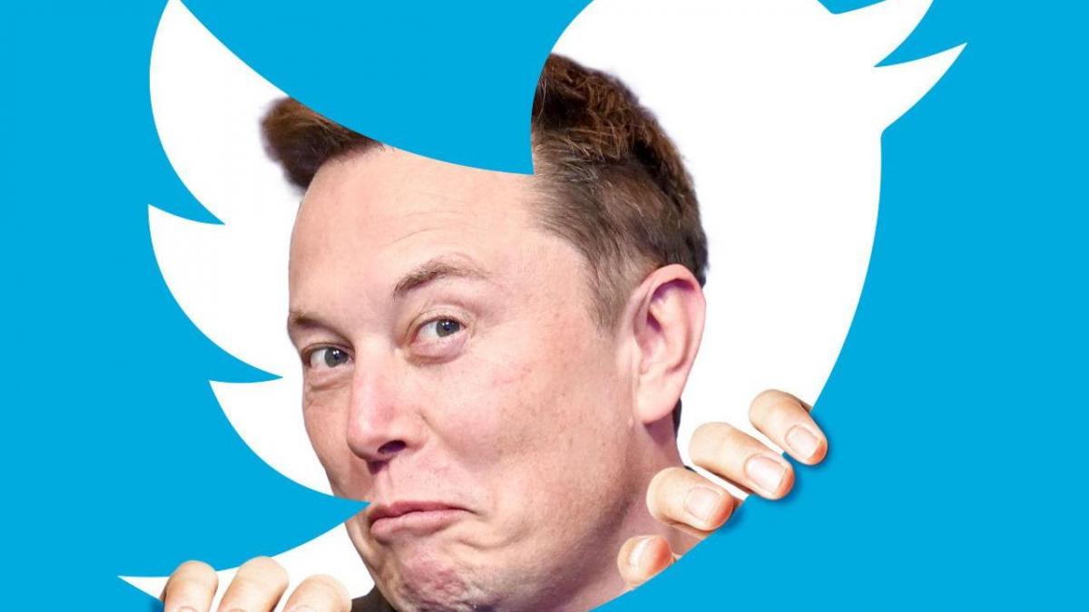 Elon Musk and Twitter, what could happen now?