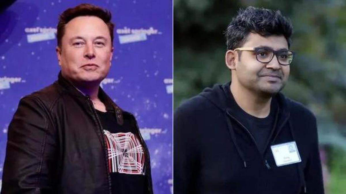 Musk and texts to fight with Twitter CEO Agrawal: «What have you been up to this week?  There’s no point in talking to you.”